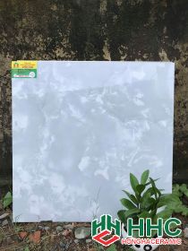 Gạch lát nền catalan 60x60 K176042